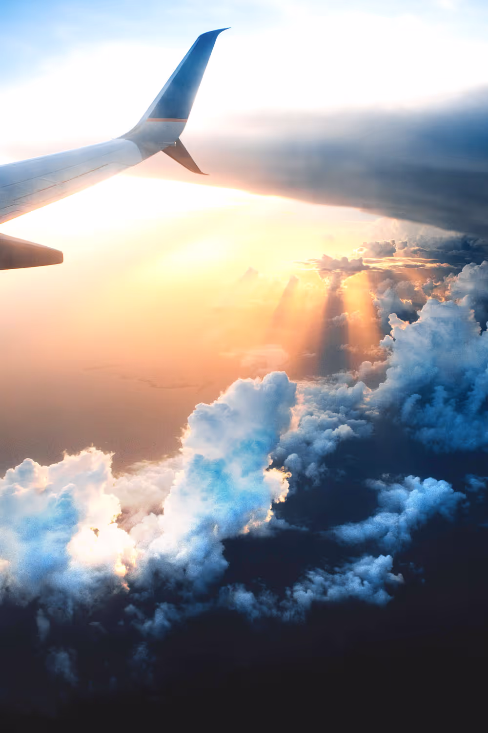 Flight & Coach: Fly to a destination and explore by tour bus.